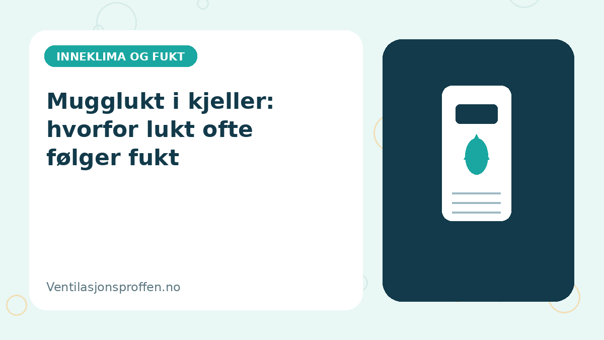Mugglukt i kjeller: hvorfor lukt ofte følger fukt