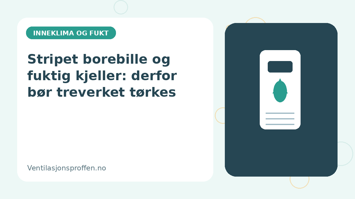 Stripet borebille og fuktig kjeller: derfor bør treverket tørkes